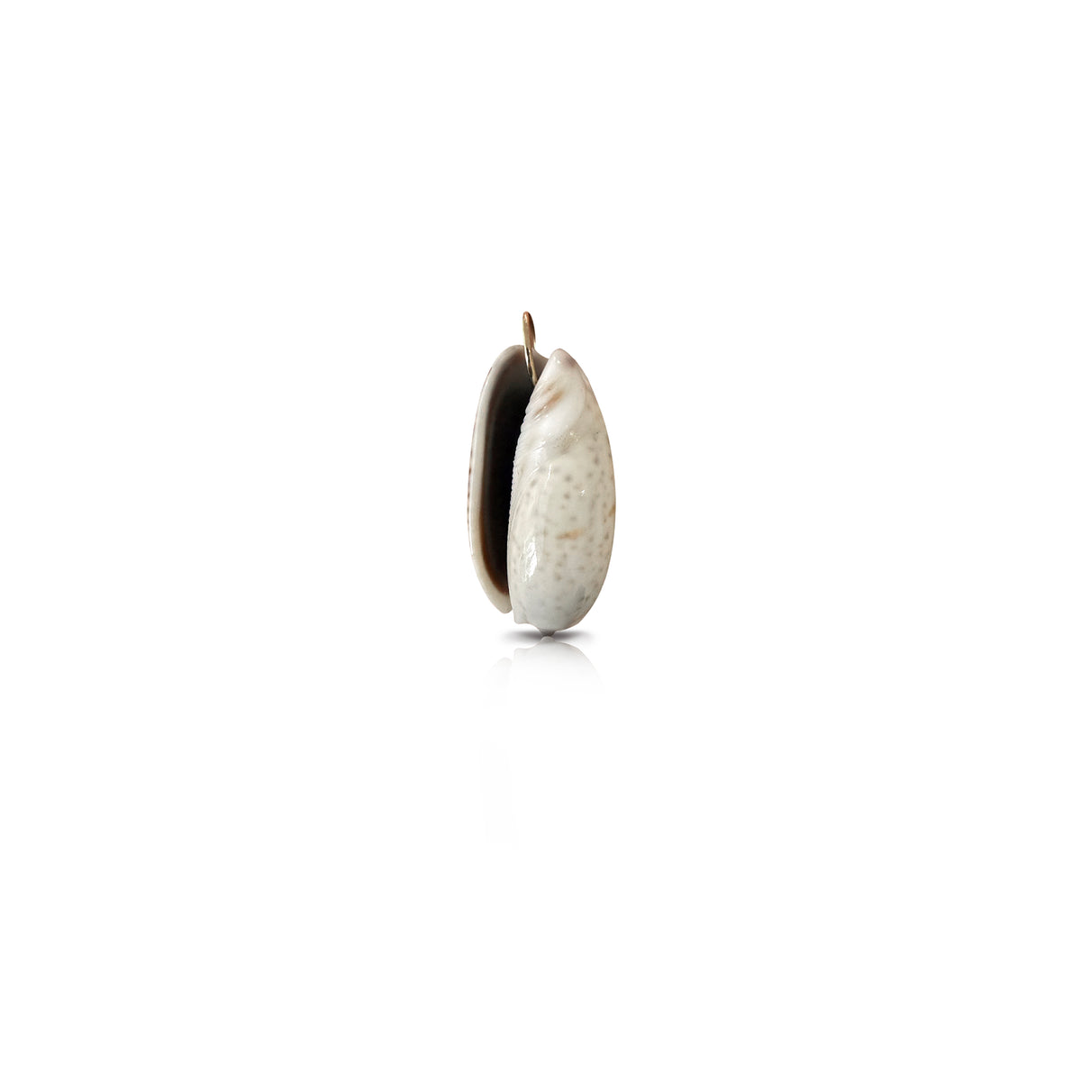 14k Olive Shell Charm