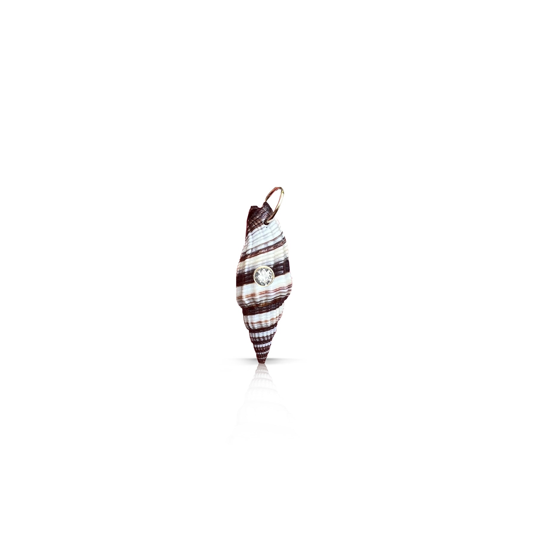 14k Baby Conch Shell Charm