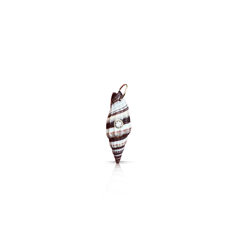 14k Baby Conch Shell Charm