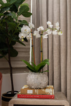 White Quartz Vase