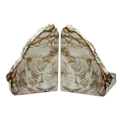 Saddle Mountain Washington Sequoia Petrified Wood Bookends