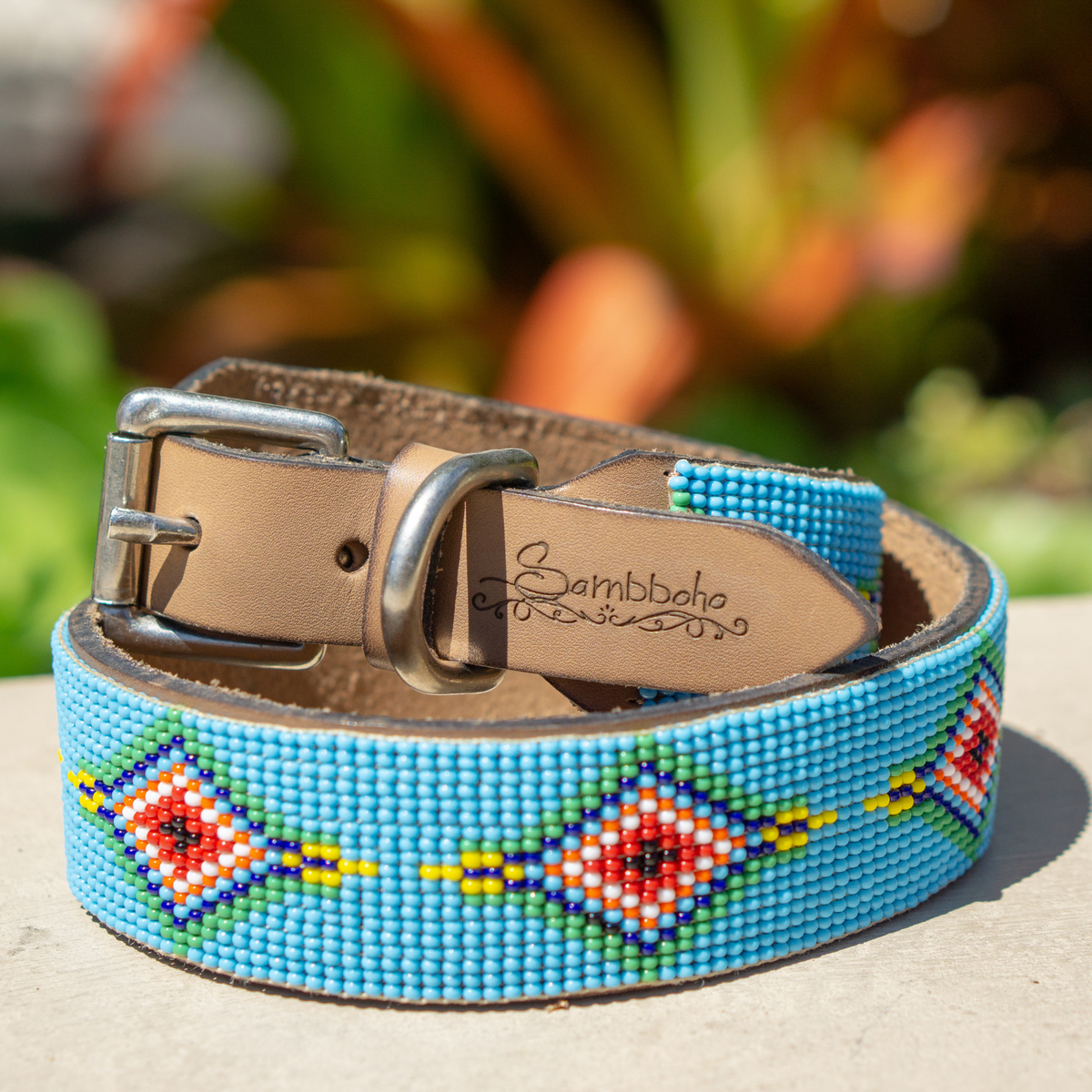 Blue Vogue Sambboho dog collar
