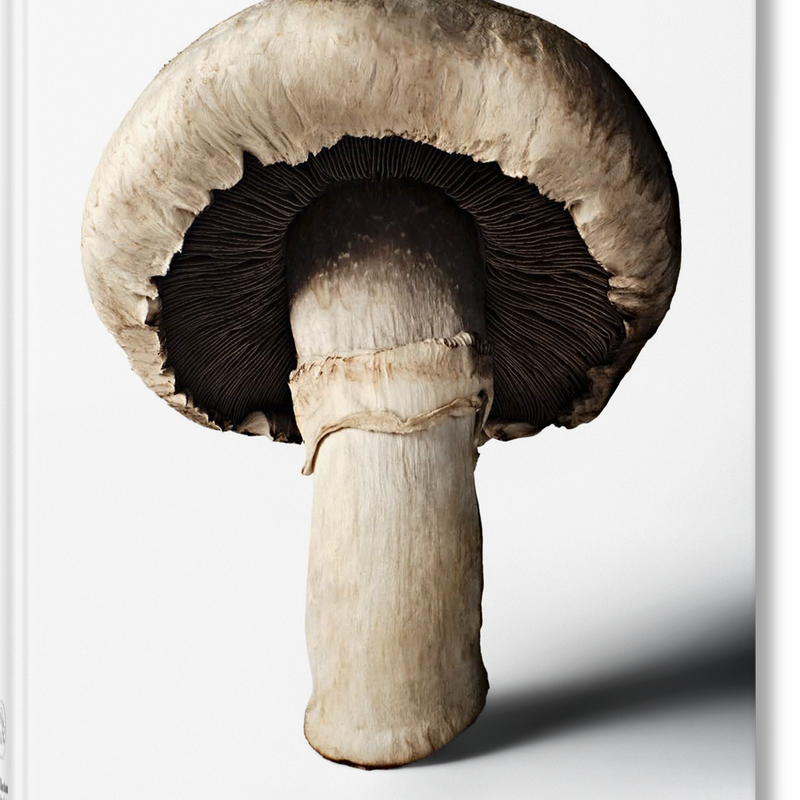 The Gourmand's Mushroom. A Collection of Stories & Recipes (English)