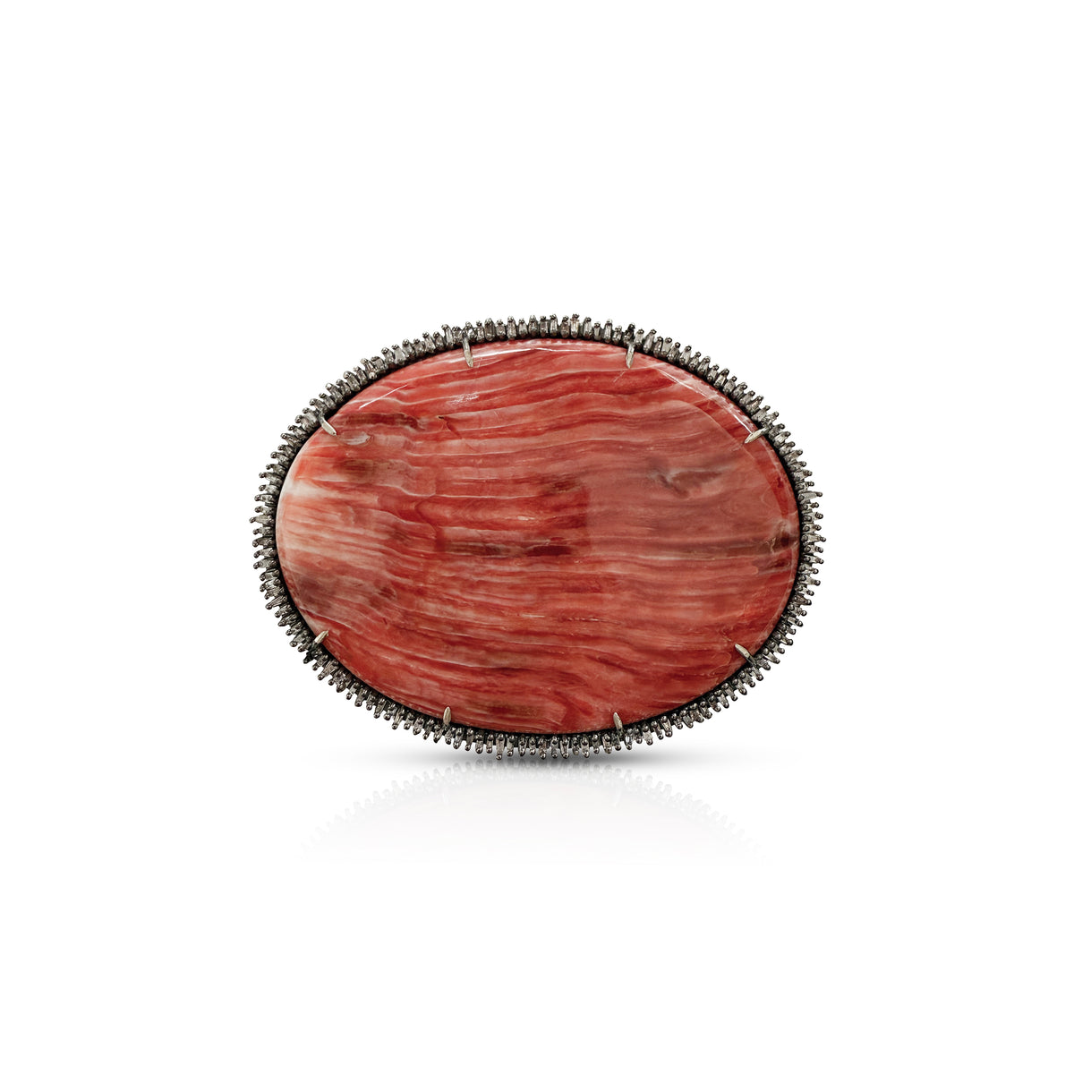 Spiney Oyster Shell Belt Buckle