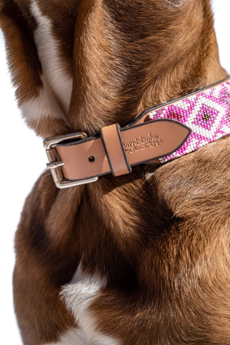 Paris Sambboho dog collar (with center D-ring)