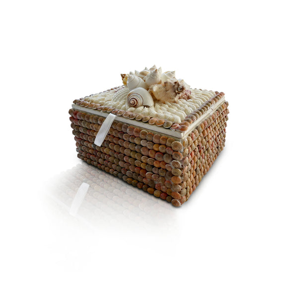 Blush Shell Box