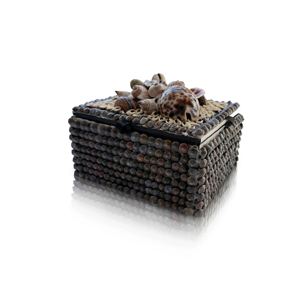 Chocolate Brown Shell Box