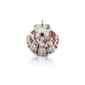 14k Pink and White Clam Shell