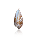 14k Jumbo Textile Cone Shell