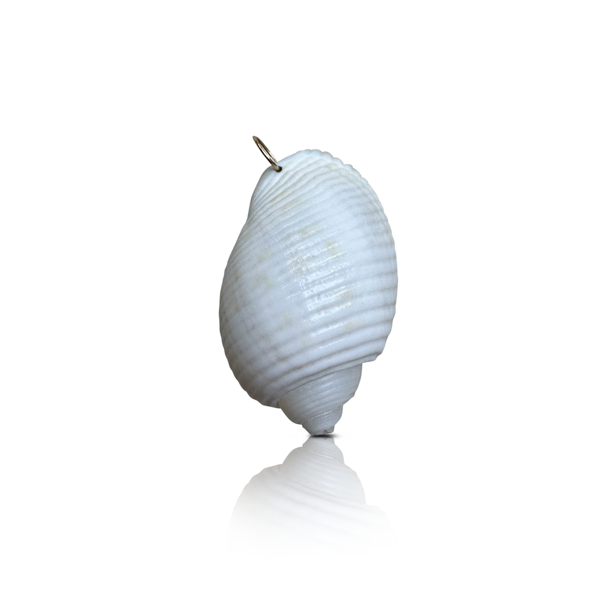 14k Moon Snail Shell Charm