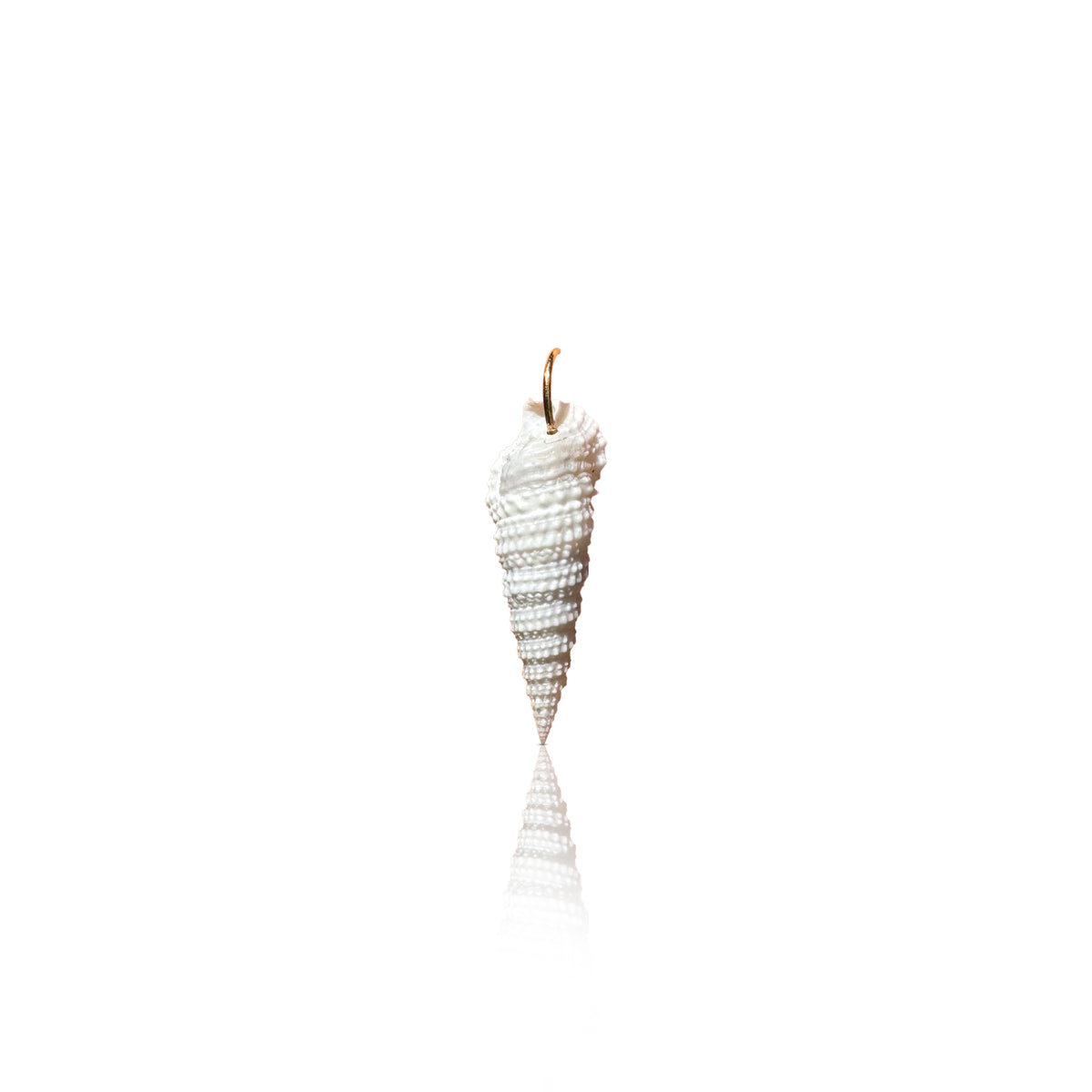 14k Cerith Shell Charm
