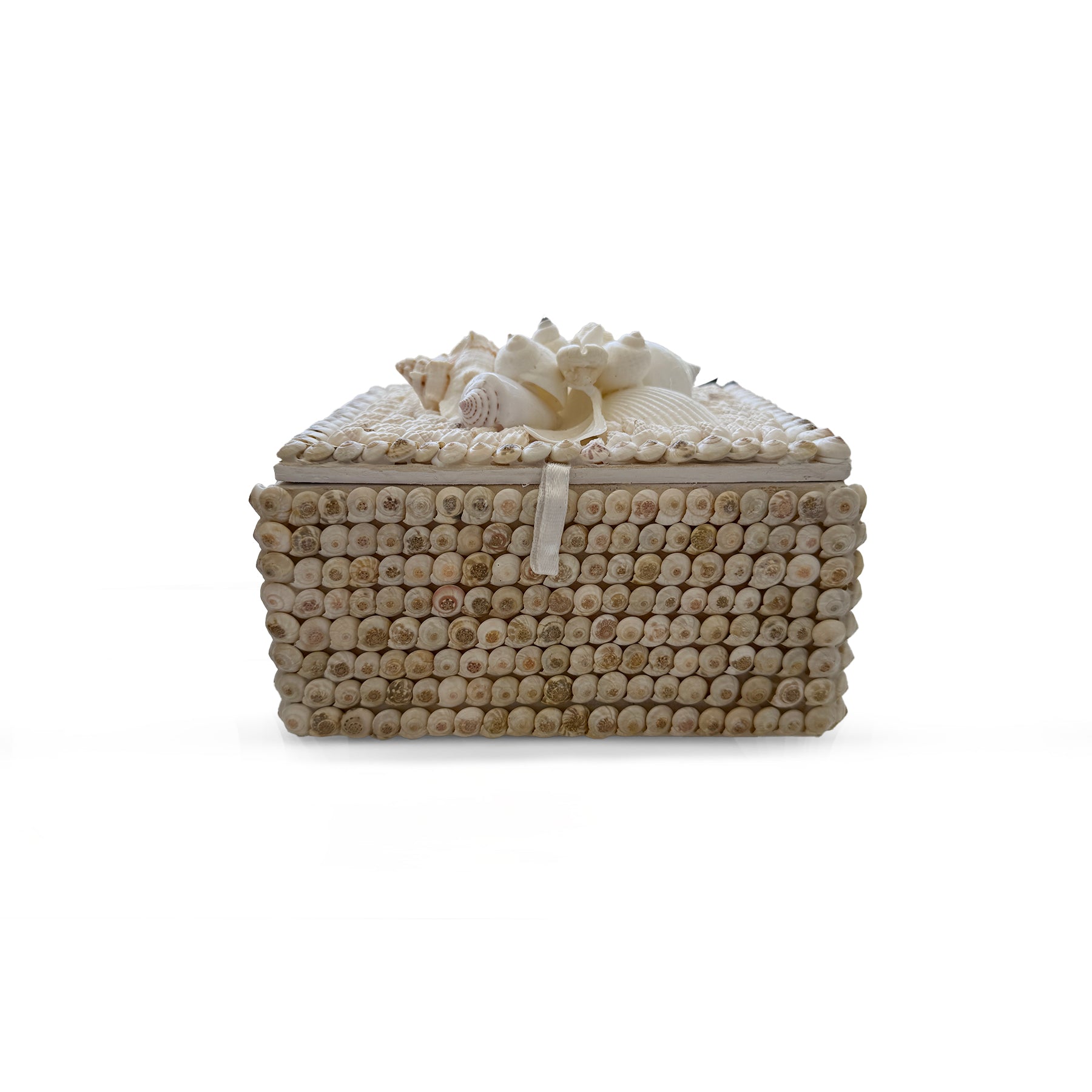 Small White Shell Box