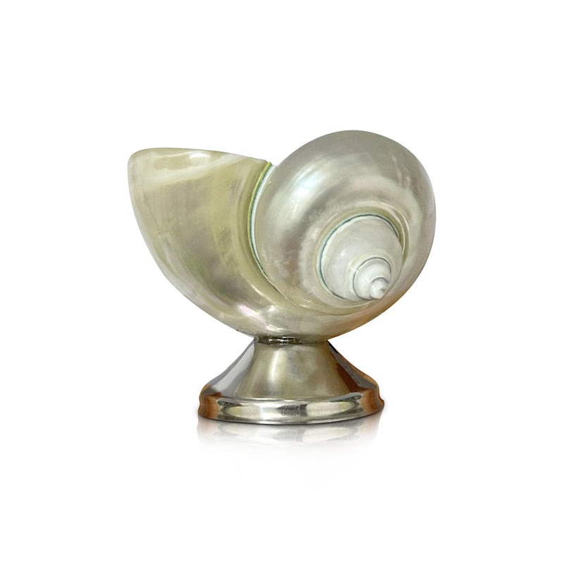 Natural Shell Goblet/Bowl