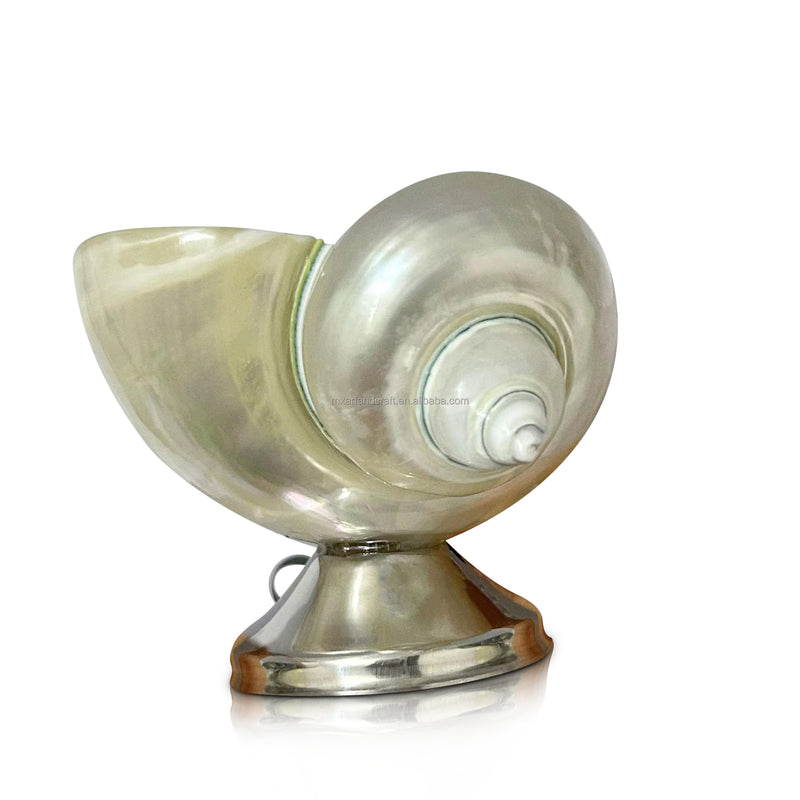 Natural Shell Goblet/Bowl