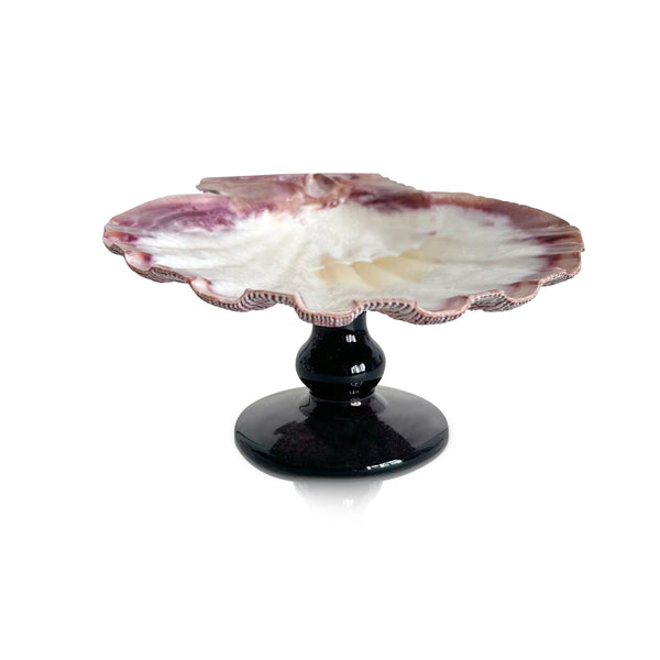 Natural Decorative Shell Ring Dish