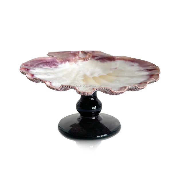 Natural Decorative Shell Ring Dish