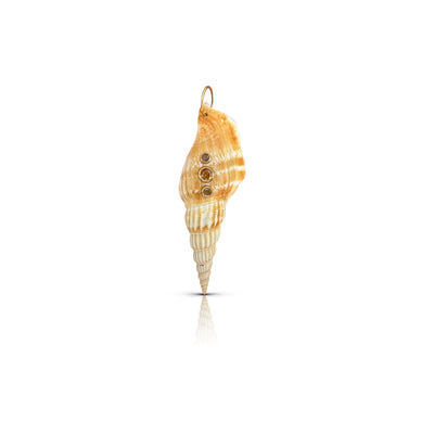 14k and Sapphire Vittate Conch Shell Charm