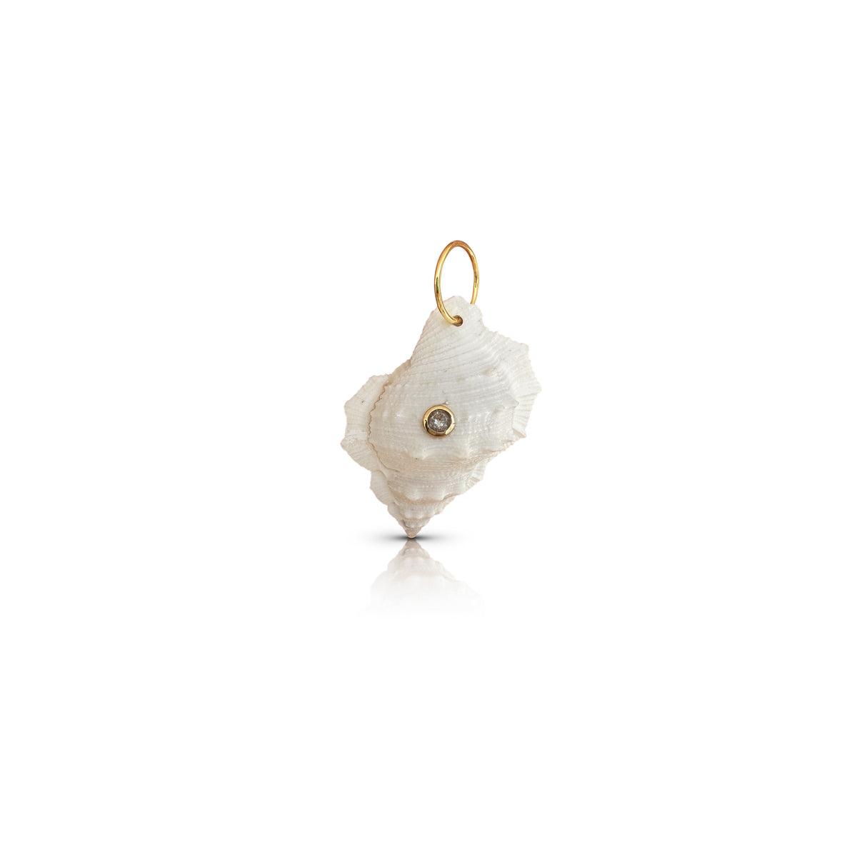 14k White Welk Shell Charm