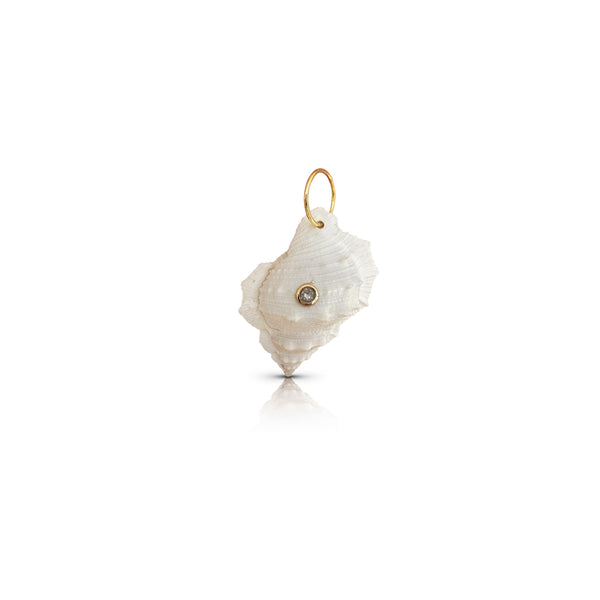 14k White Welk Shell Charm