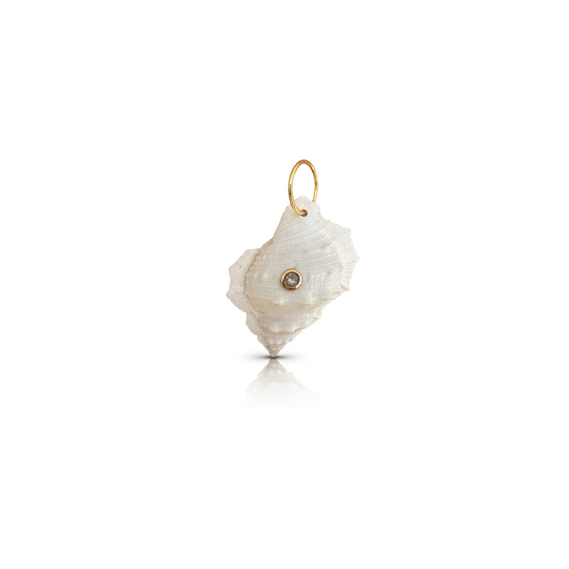 14k White Welk Shell Charm
