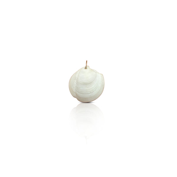14k Clam Shell Charm