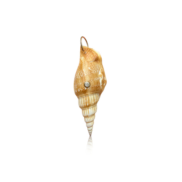 14k and Diamond Vittate Conch Shell Charm