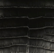 Rectangle Alligator Purse