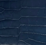 Rectangle Alligator Purse