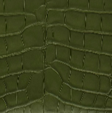 Rectangle Alligator Purse