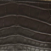 Rectangle Alligator Purse