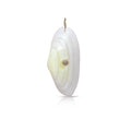 14k Large Clam Shell Charm + 4mm Diamond