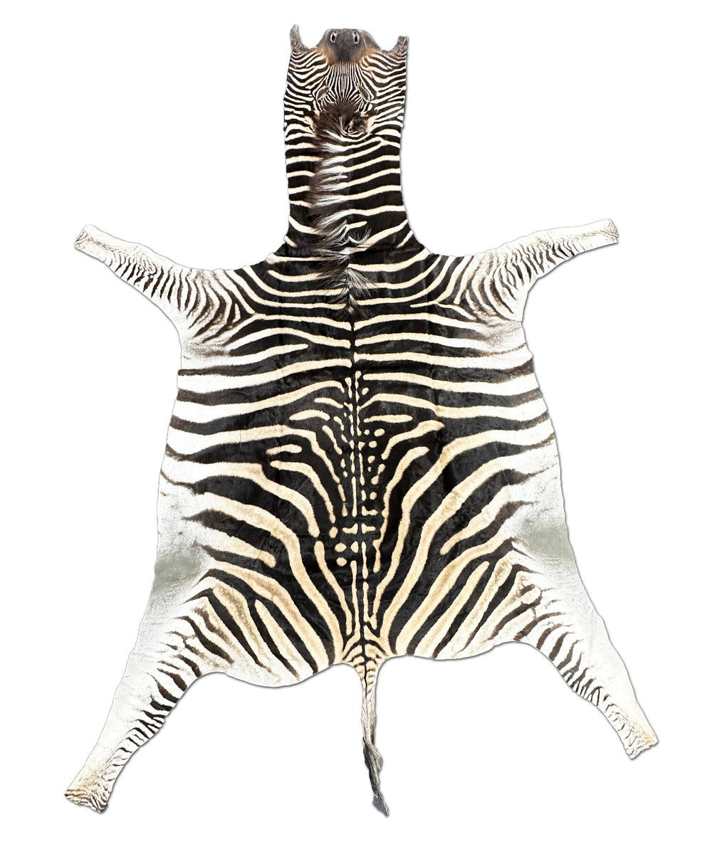 African Zebra Fur Rug