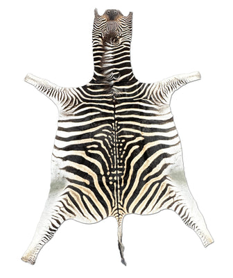 African Zebra Fur Rug