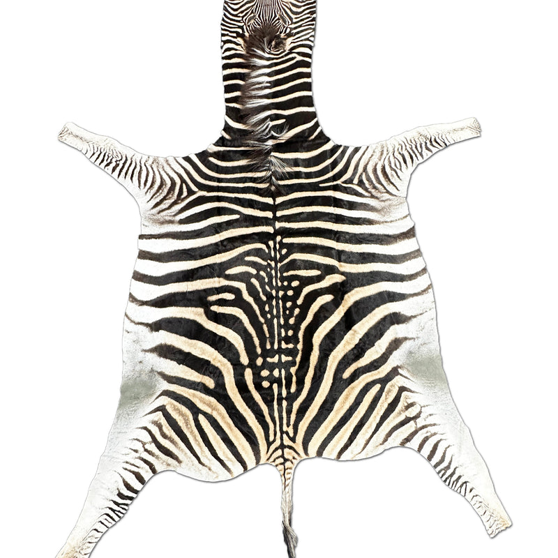 African Zebra Fur Rug
