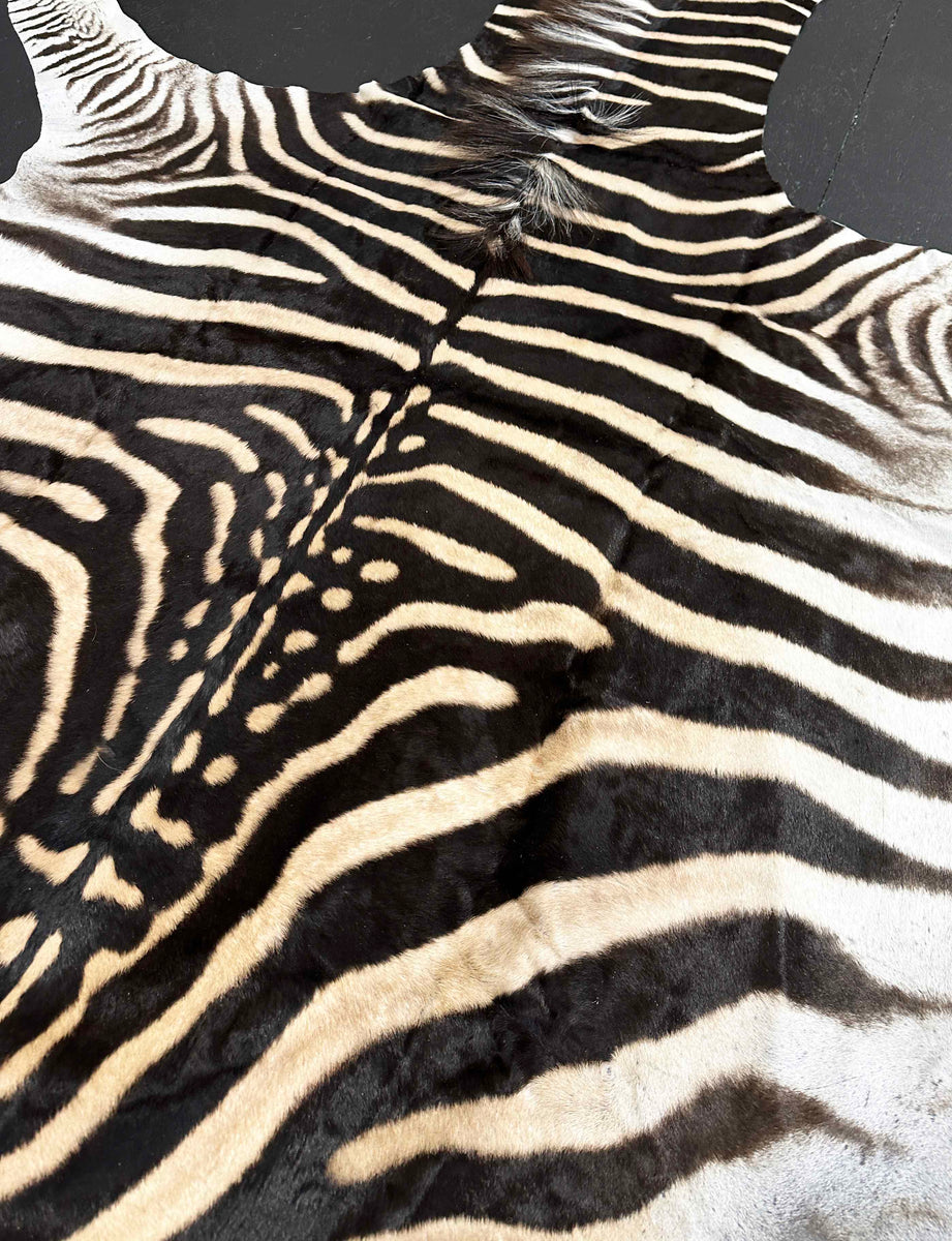 African Zebra Fur Rug