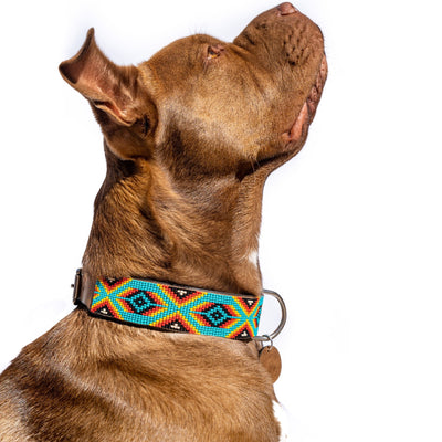 Bahamas Sambboho dog collar (with center D-ring)