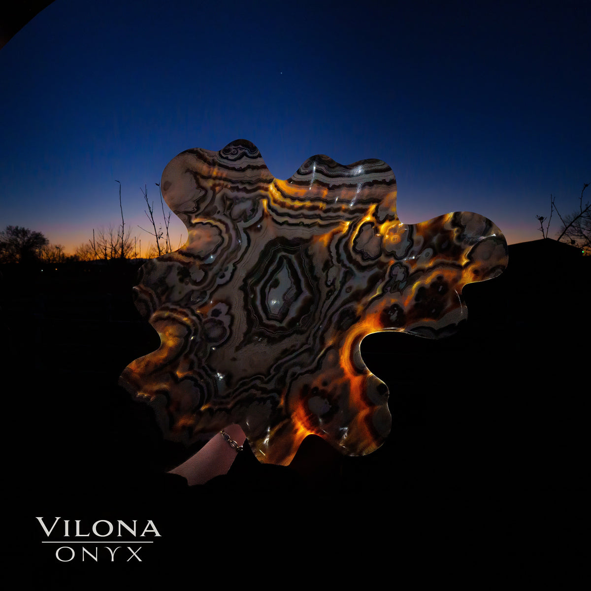 Exotic Everglade (Onyx Bowl #3)