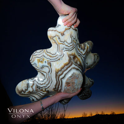 Exotic Everglade (Onyx Bowl #3)