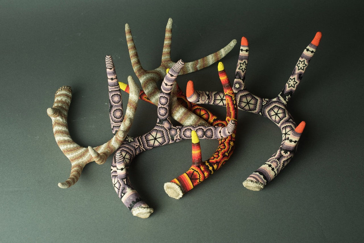 Huichol Antler