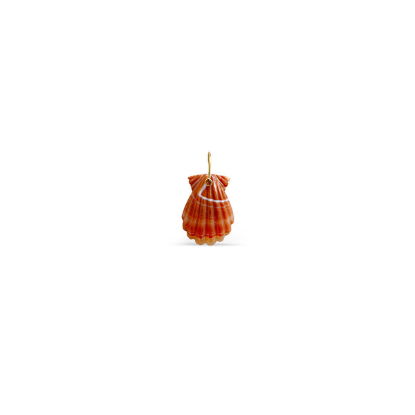 14k Coral Laguna Agate Carved Shell Charm