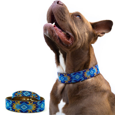 Maldives Sambboho dog collar (Glam Collection)