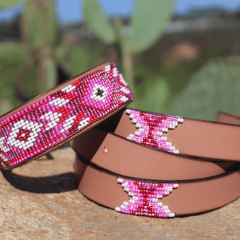 Matching leash/dog collar Melrose Sambboho Bundle