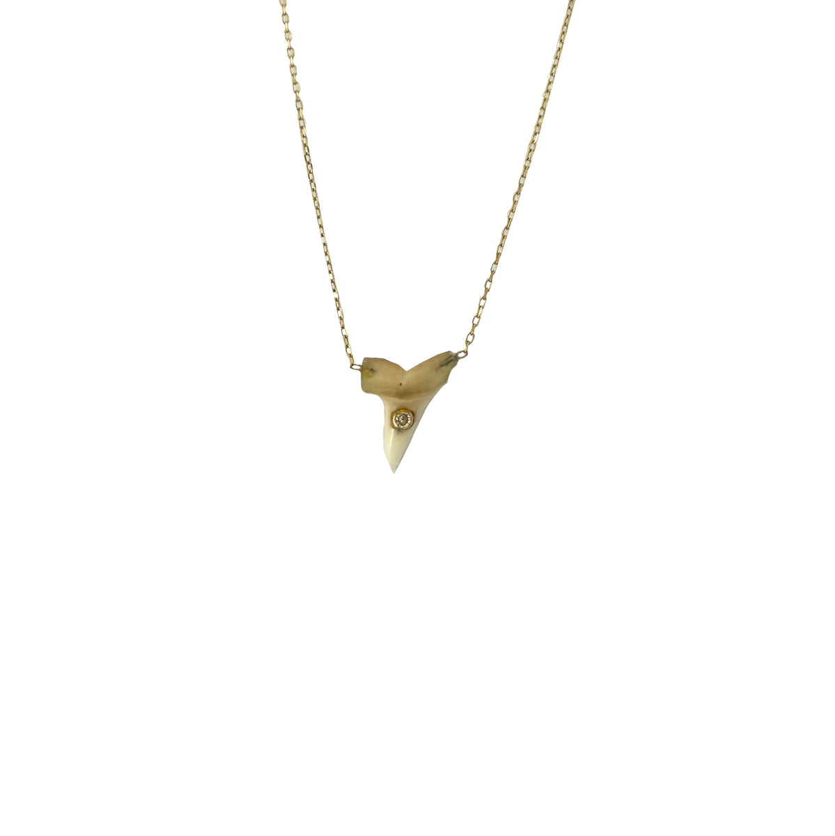 14k MINI Sharks Tooth Dainty Necklace (Sale)
