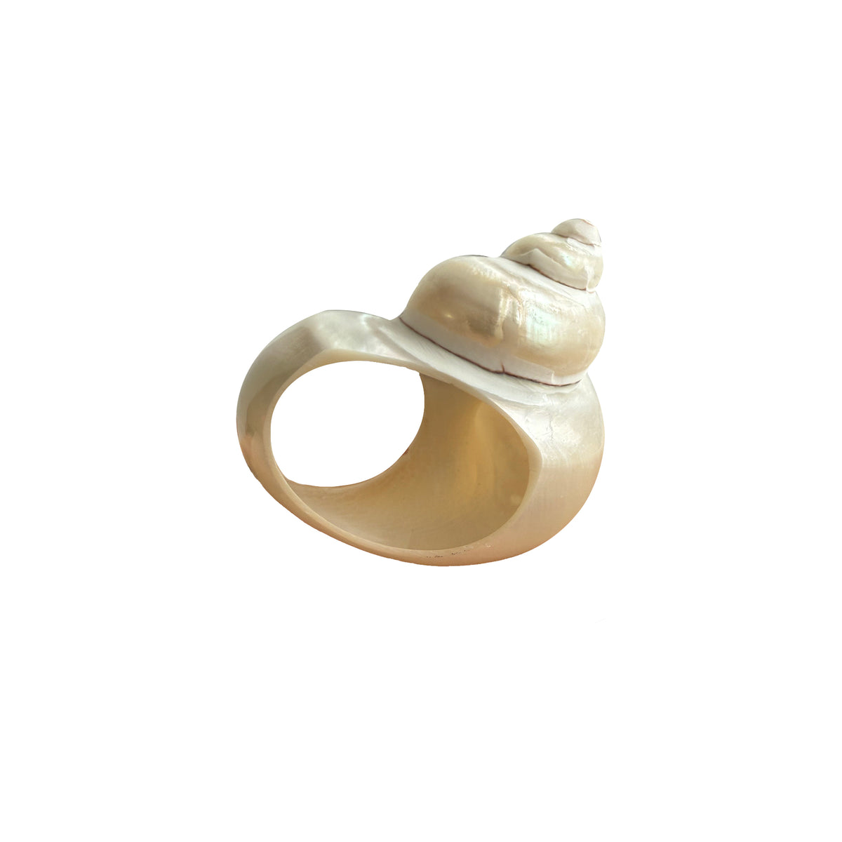 Natural Shell Napkin Ring (set of 4)