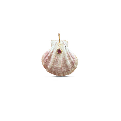14k Pink Clam Shell + 5mm Pink Sapphire