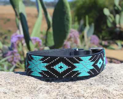 Saint Barth Sambboho dog collar (Deluxe Edition)