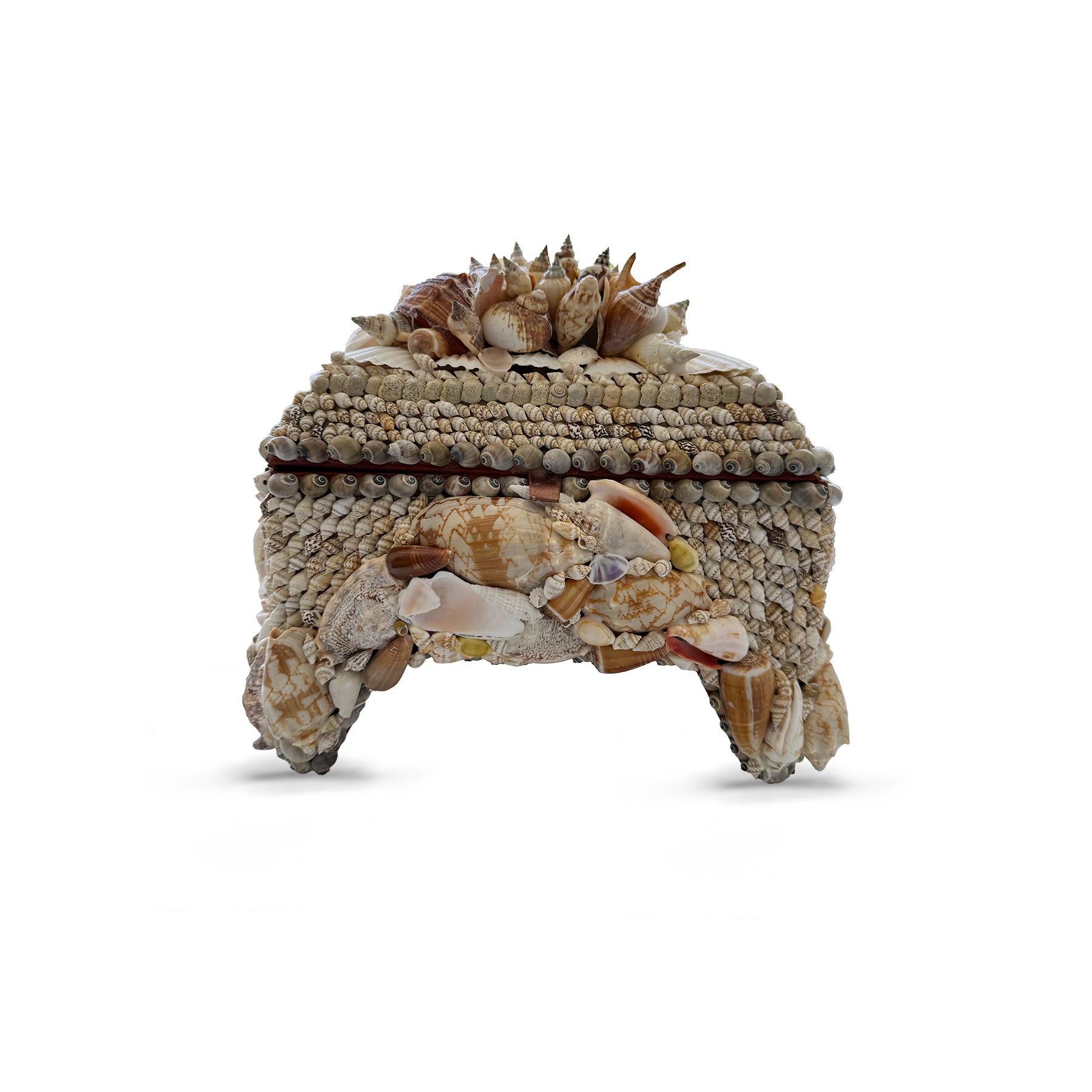 Large Brown + White Footed Shell Box
