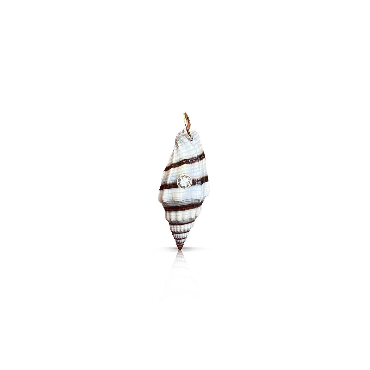 14k Baby Conch Shell Charm