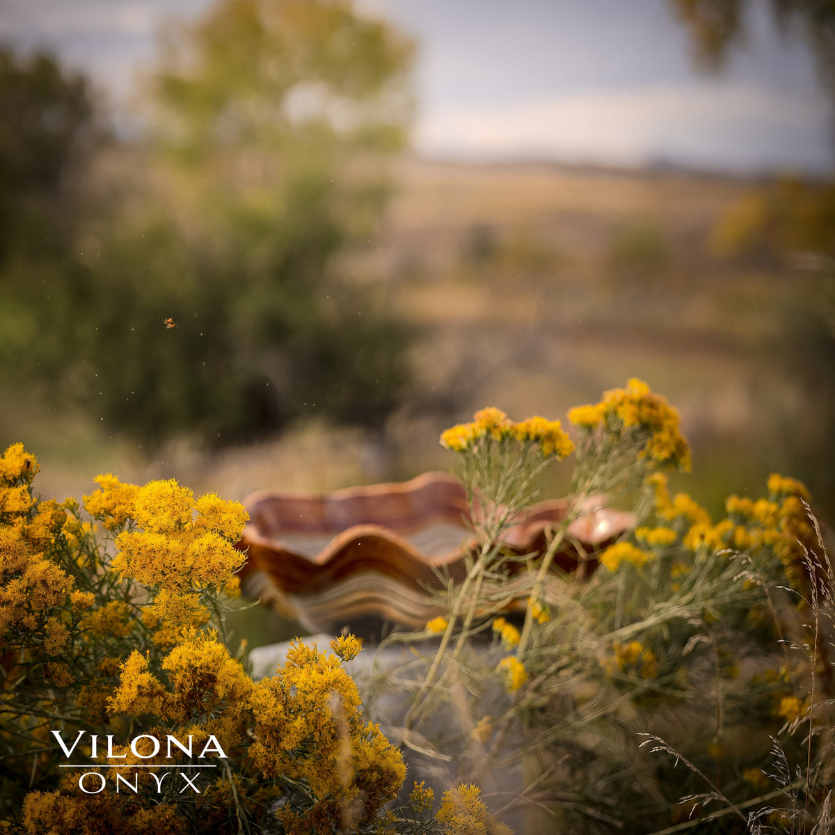 Tangerine Crystal Onyx Bowl #5