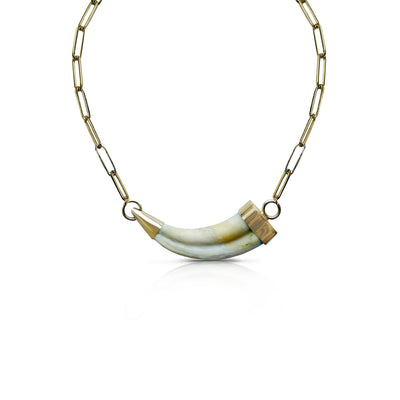 14k Paperclip Chain Tusk Necklace